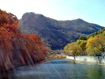 新澳天天开奖资料大全旅游团，四氯化硅价格